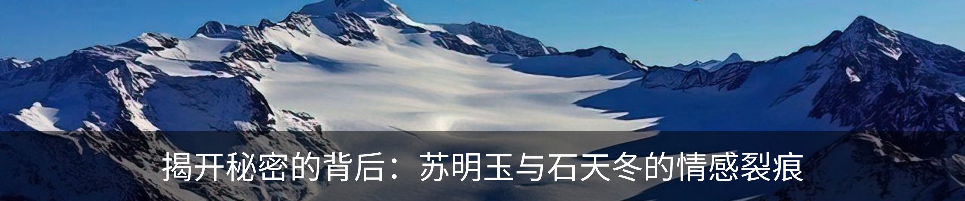 新闻动态